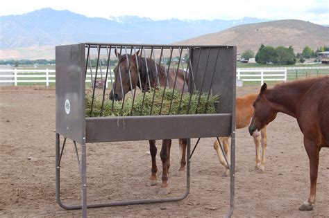 Murdoch's – Powder River - 5-Foot V-Rack Horse Feeder