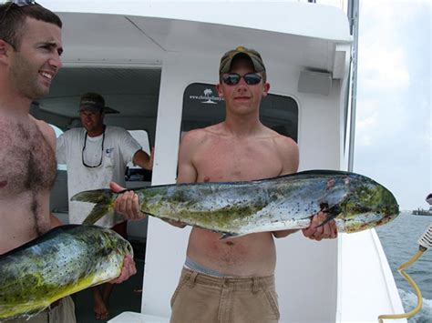 Topsail Island Fishing NC Gallery | Whipsaw