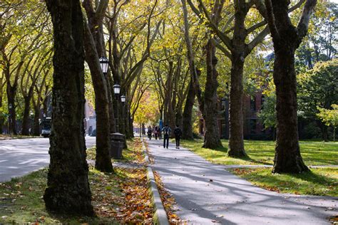 Photos: Fall colors at the University of Washington | Seattle Refined