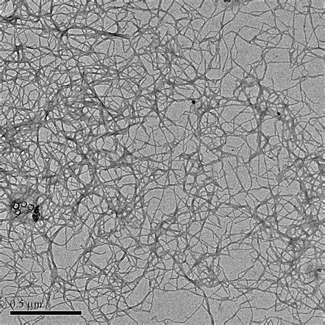 CNF (NFC, MFC): Cellulose Nanofibrils (NanoFibrillated Cellulose, MicroFibrillated Cellulose ...