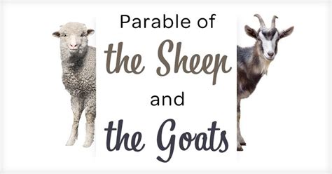 the sheep and the goats are standing next to each other in front of a sign that says, parable of ...