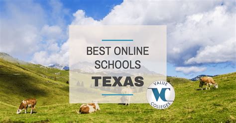 Top 10 Best Online Colleges in Texas | Value Colleges