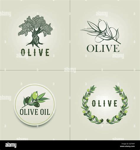 Various Olive logo design templates. Olive branch, olive tree and olive branch wreath ...