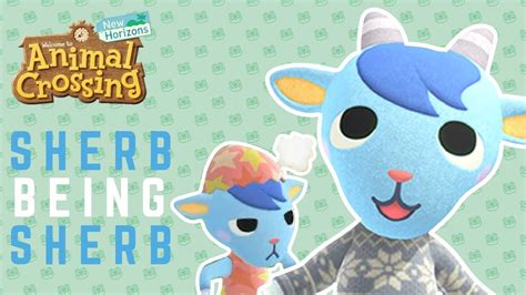 Sherb being Sherb - Animal Crossing New Horizons - YouTube