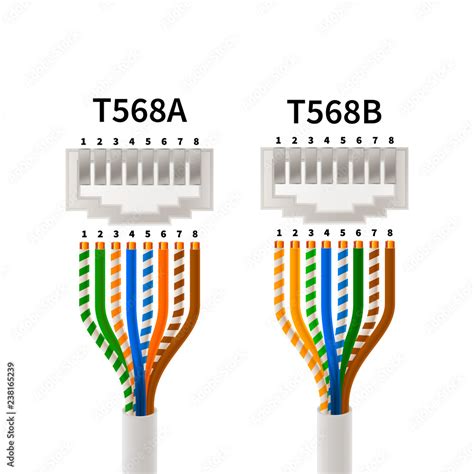 RJ45 crossover pin assignment in T568A and T568B connections types, infographic scheme 素材庫向量圖 ...