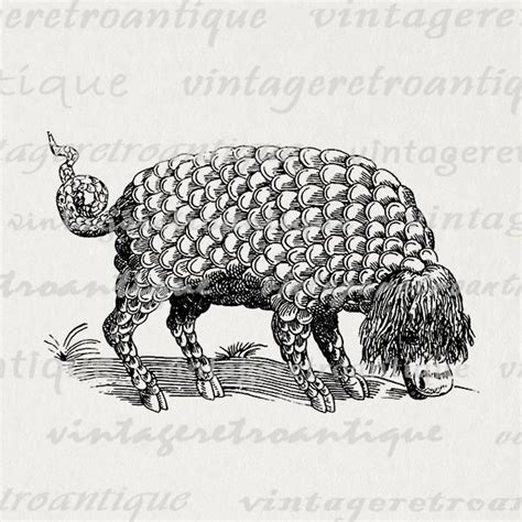 Printable Graphic Mysterious Strange Animal Mythical Digital Download Image Antique Clip Art ...