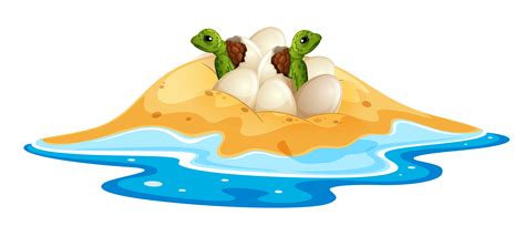 Baby turtle hatchlings egg 299911 Vector Art at Vecteezy