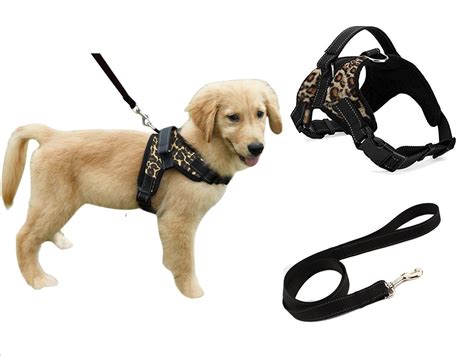 Heavy Duty Adjustable Pet Puppy Dog Safety Harness with Leash