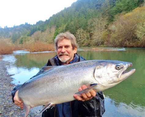 Elk River Salmon and Steelhead Fishing (2024) - Best Fishing in America