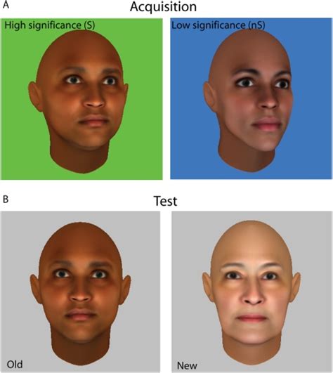 Stimuli were computer-generated faces, and had no distinguishing ...