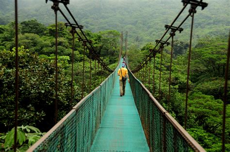 Costa Rica's Sky Walk offers visitors a 3.6km trail system through ...