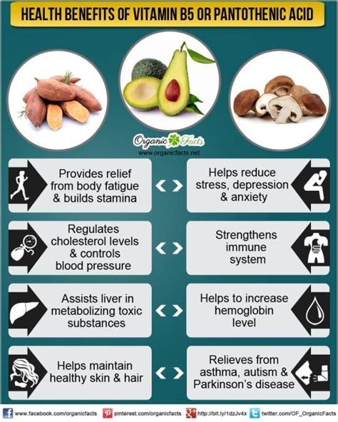 Pin on Counting in Vitamins and Minerals