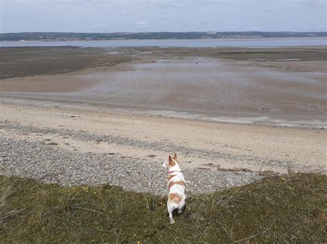 Visit Swansea Bay (@VisitSwanseaBay) / Twitter