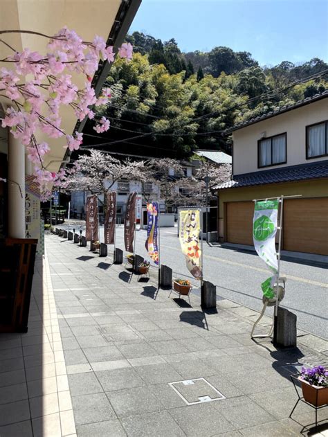 Cherry Blossoms in Kinosaki Onsen - Out of Town Blog