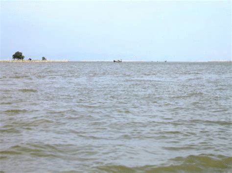 A Visit to Chilika Lake Odisha | Tourist places, Lake, Visiting