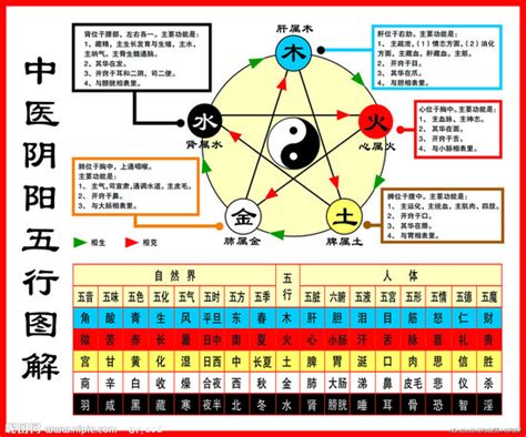 算命中的五行是什么意思_百度知道