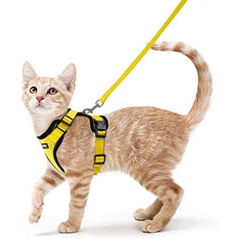 rabbitgoo Cat Harness and Leash for Walking, Escape Proof Soft ...