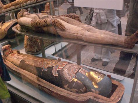 Cleopatras MUMMY! | Ancient egypt history, Egypt mummy, Ancient egypt