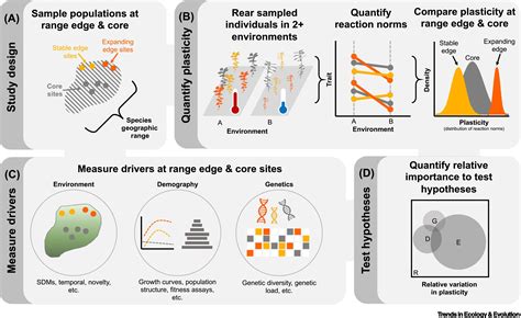 The evolution of plasticity at geographic range edges: Trends in Ecology & Evolution