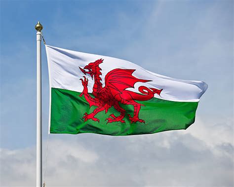 Royalty Free Welsh Flag Pictures, Images and Stock Photos - iStock