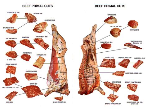 Beef Primal Cuts Chart. This is a good chart for the primal cuts ...