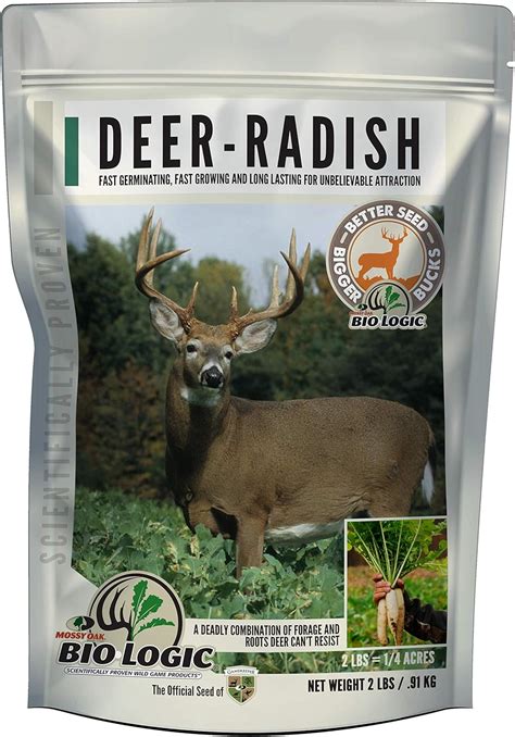 The Best Food Plot Seed For Deer Soybeans - Home Gadgets