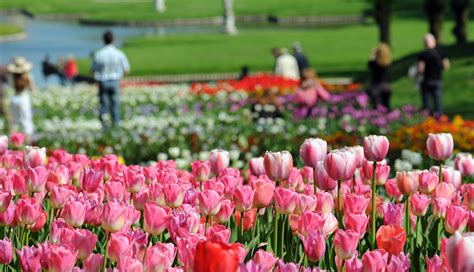 5 Spring Garden Tours Across the U.S.