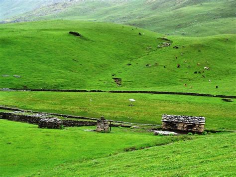 #Bhimtal #Travelguide: The view of a bugyal (meadow) in Uttarakhand ...