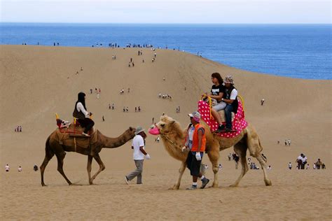 Picturesque Japan: The Tottori Sand Dunes - WAttention.com