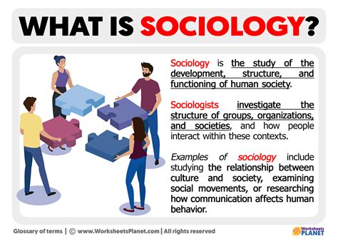 What is Sociology | Definition of Sociology