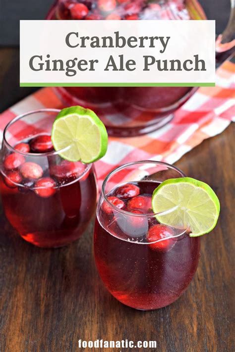 Cranberry Ginger Ale Punch Recipe | Cranberry ginger ale, Ginger ale ...