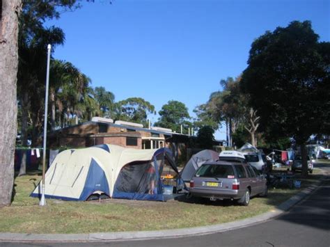 Halifax Holiday Park - Nelson Bay Area for tents and camping