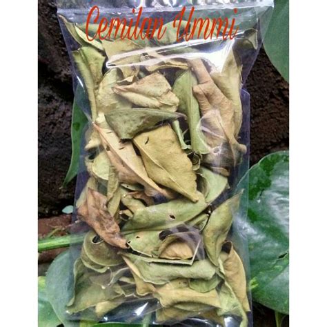 Jual DAUN JERUK KERING/ DAUNJERUK KERING ANGKA 8 | Shopee Indonesia