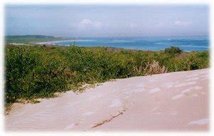 The Kurnell Peninsula - Sand Dunes