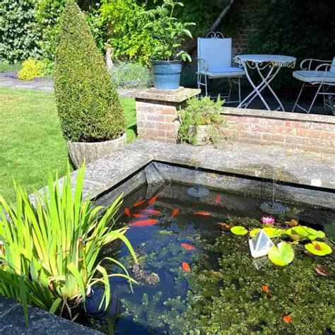 30 Outdoor Goldfish Pond Design Ideas - Pond Informer