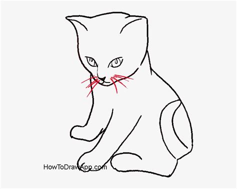 How To Draw A Cat Sitting Sideways : How to Draw a Cat Sitting | Cat ...