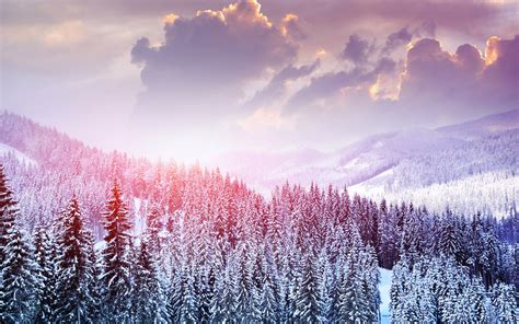 Beautiful Winter Landscape Wallpapers - 2560x1600 - 1349098