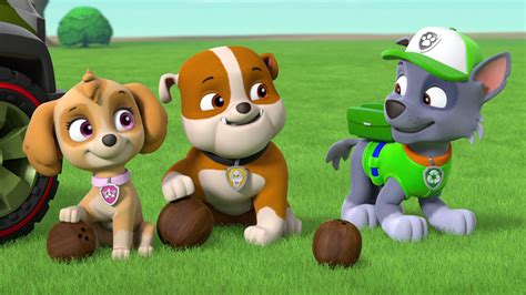 Watch PAW Patrol Season 4 Episode 26: Pups Save Baby Humdinger/Pups Save a Pinata - Full show on ...