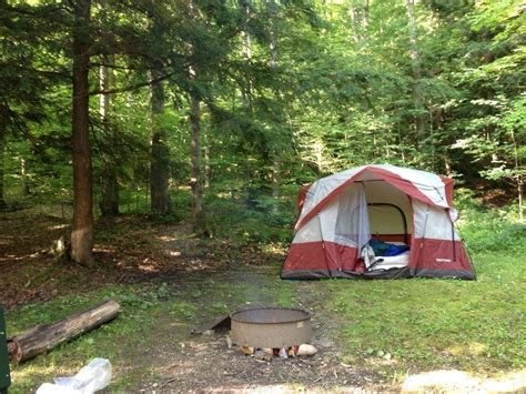 Allegheny National Forest Camping | Visit PA Great Outdoors