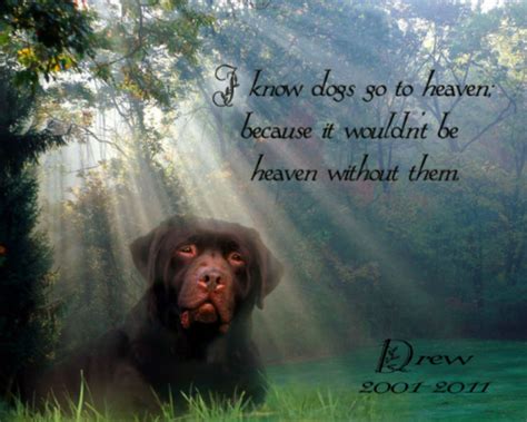 Quotes About Dogs Going To Heaven. QuotesGram