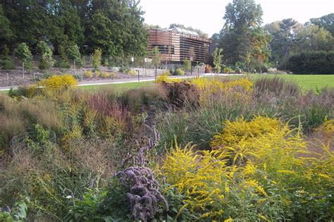 Two more swales I liked for diversity of vegetation | PAC Discussion