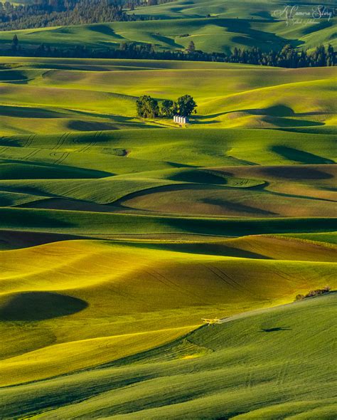 Palouse Moments — A Camera Story