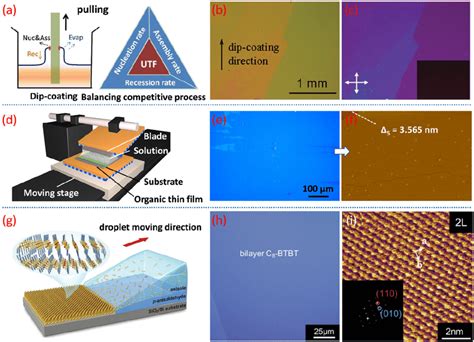 (a) Schematic illustration of the dip-coating processes and the key... | Download Scientific Diagram