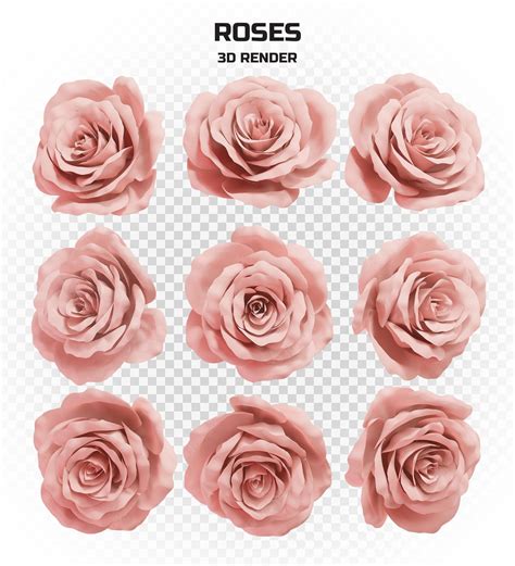 Premium PSD | Collection of realistic 3d render pink roses in high resolution with many perspectives