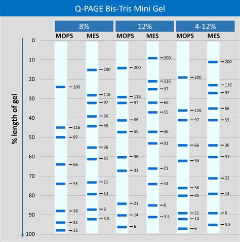 [QP2520] Q-PAGE™ Bis-Tris Precast Gel (Mini, 15 wells, 4-12%), 10 gels