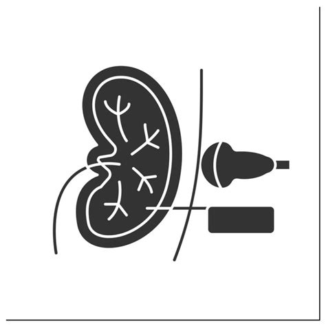 Percutaneous Kidney Biopsy Carries a 5% Risk of Major Complications - Renal and Urology News