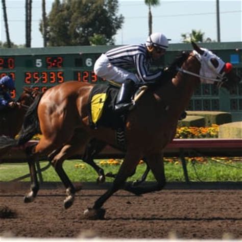 Los Alamitos Race Course - 208 Photos & 90 Reviews - Horse Racing ...