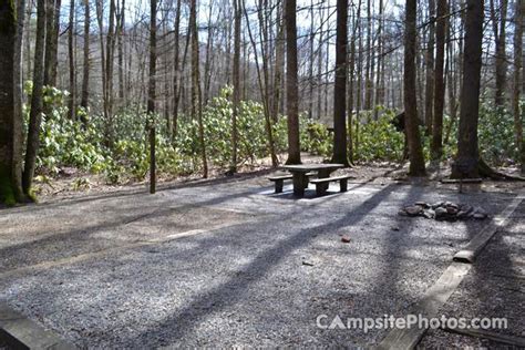 Roan Mountain State Park - Campsite Photos & Reservations