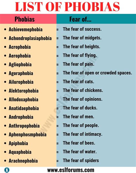 List of Phobias: Learn 105 Common Phobias of People around the World ...