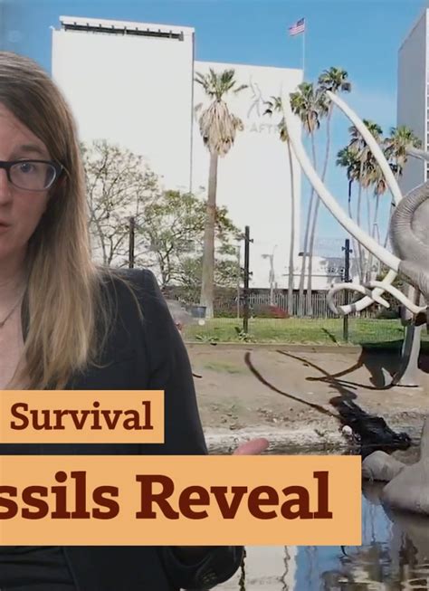 What La Brea Tar Pits Fossils Reveal | La Brea Tar Pits